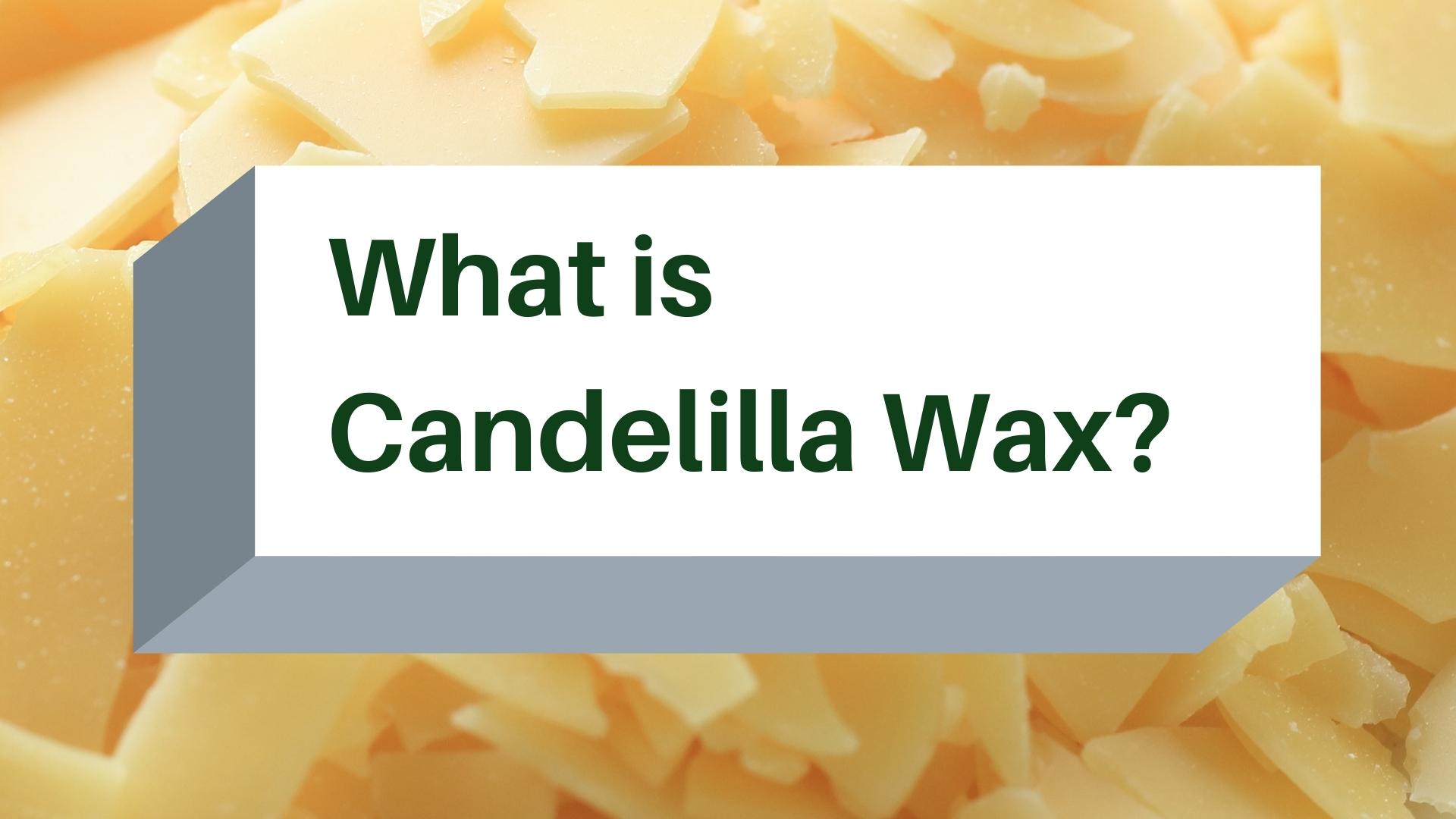 Candellia Wax