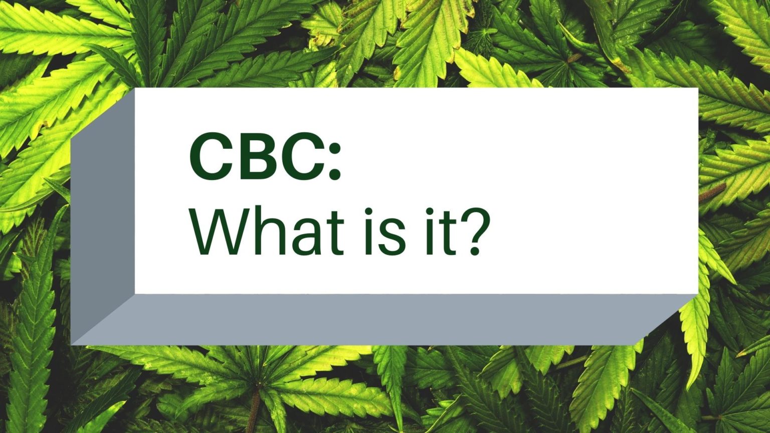 what-is-cbc-cannabichromene-hunger-mountain-hemp